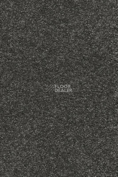 Ковролин AW Vivendi Punch 97 фото 1 | FLOORDEALER